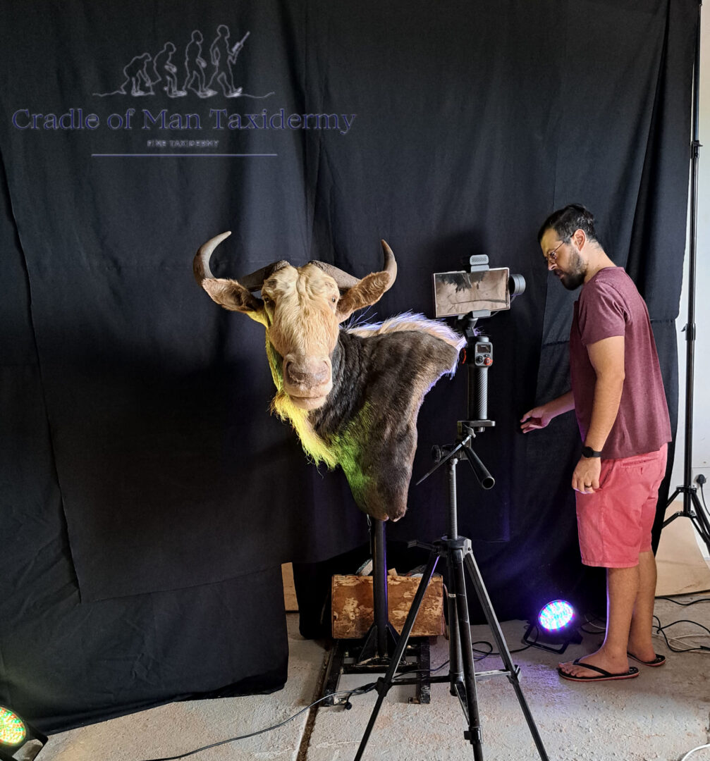 Taxidermy Workshop 01