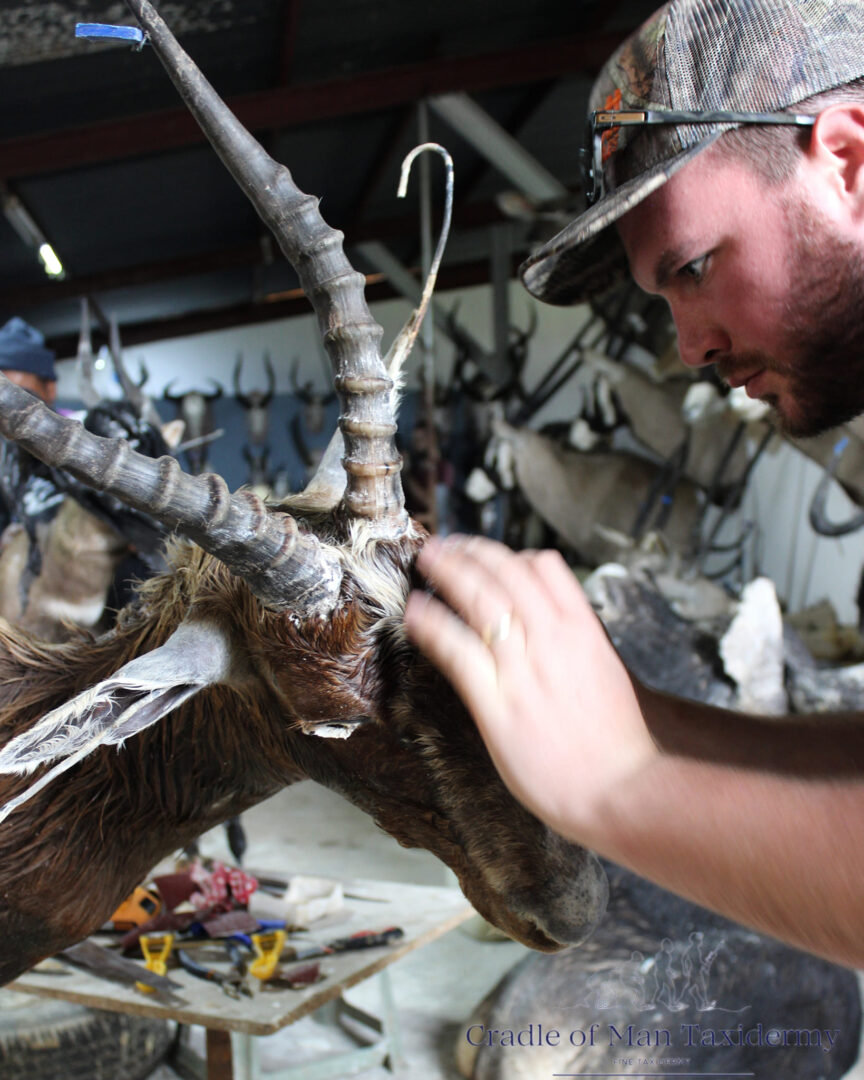 Taxidermy Workshop 02
