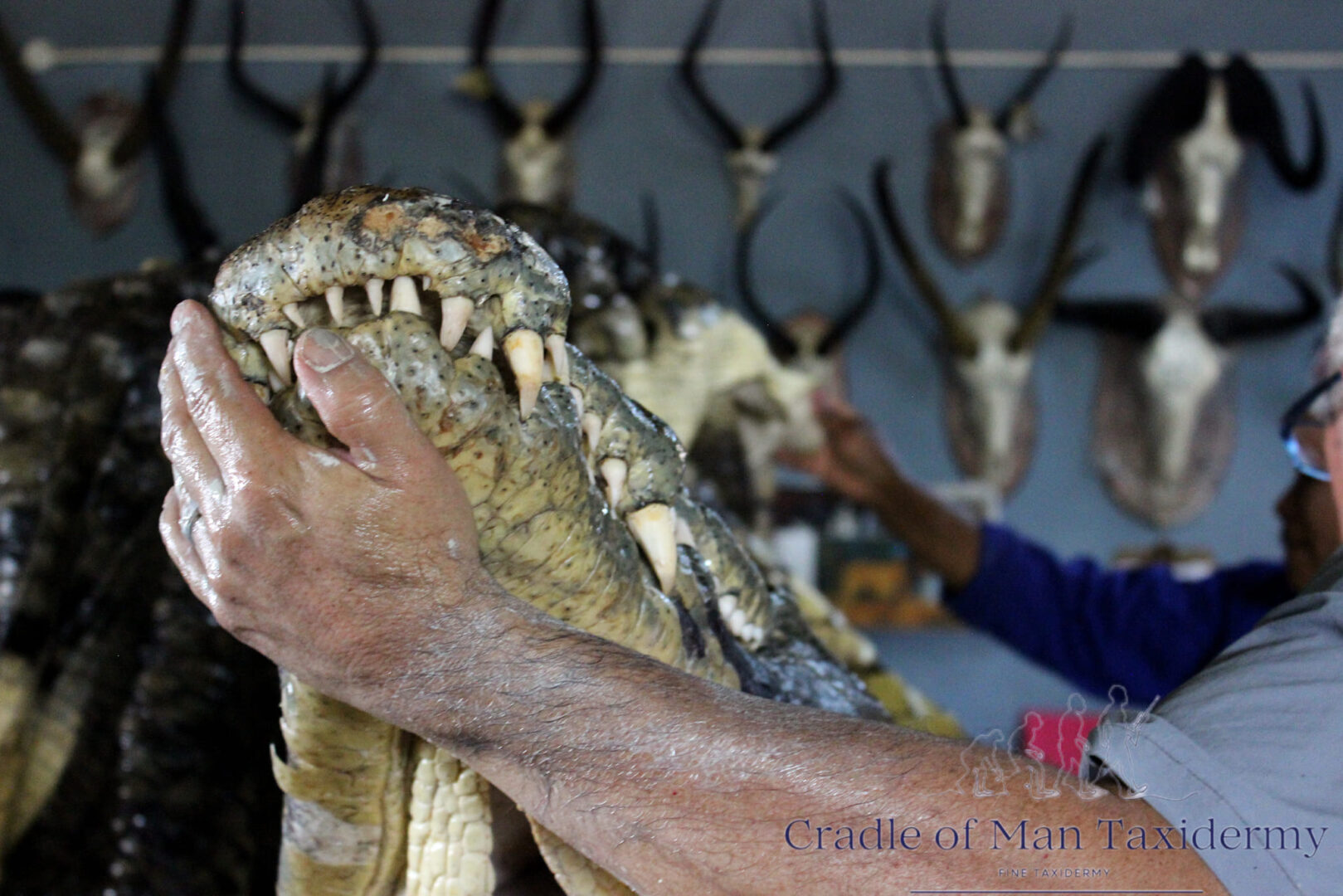 Taxidermy Workshop 03
