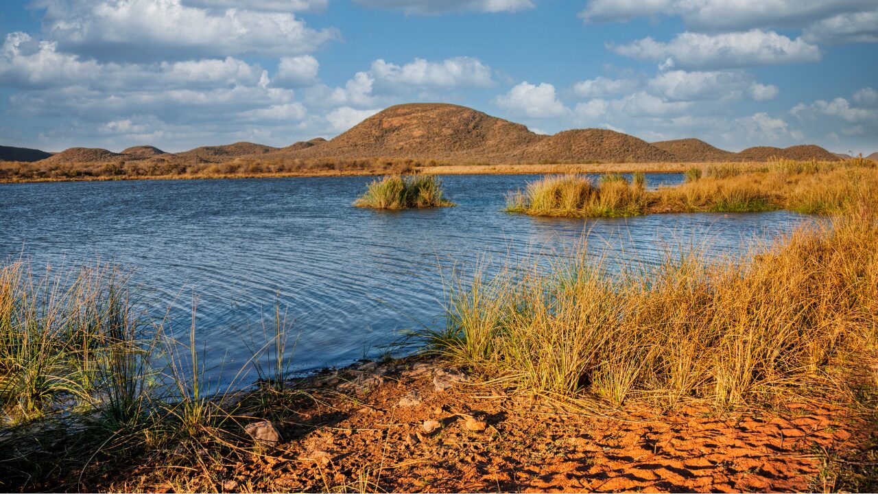 Rivers, Wetlands & Forest Margins