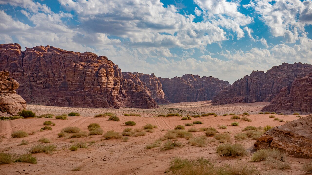 Desert & Semi-Desert