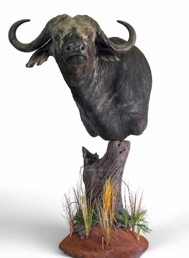 Buffalo Floor Pedestal Mount