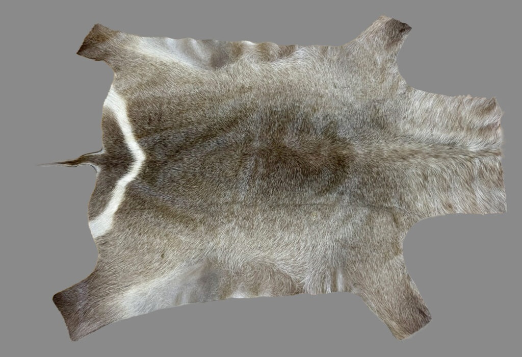 Waterbuck Flat Skin