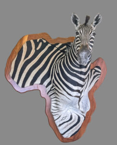 Zebra 3D Mount 1
