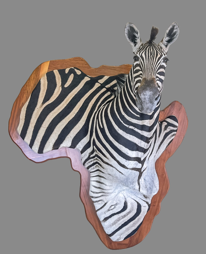 Zebra 3D Mount 1