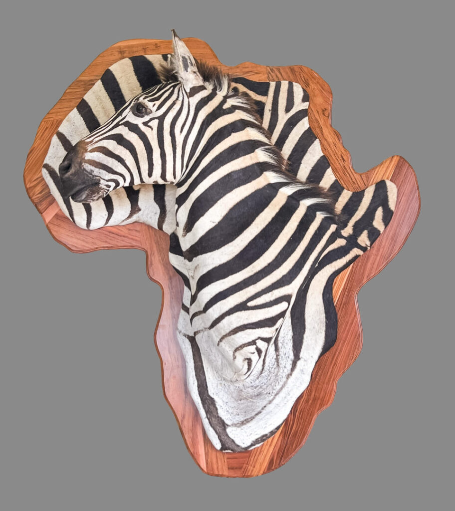 Zebra 3D Mount 2