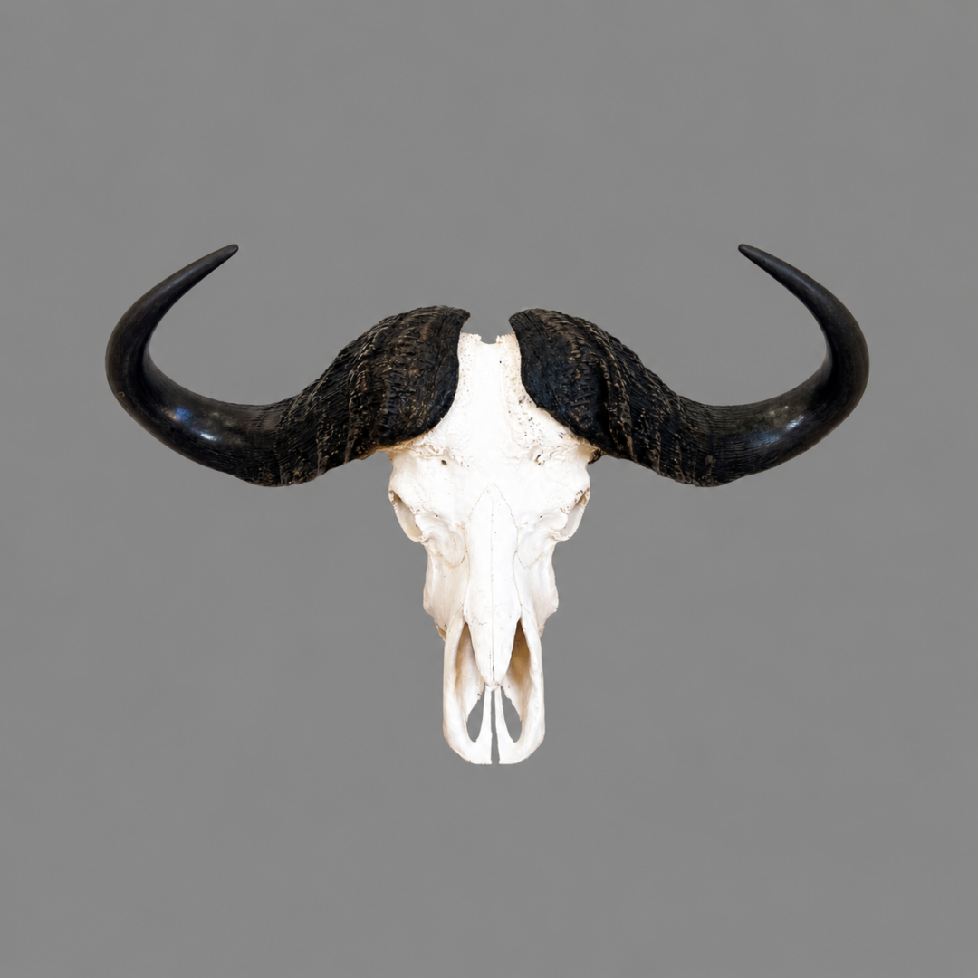 SquareBuck